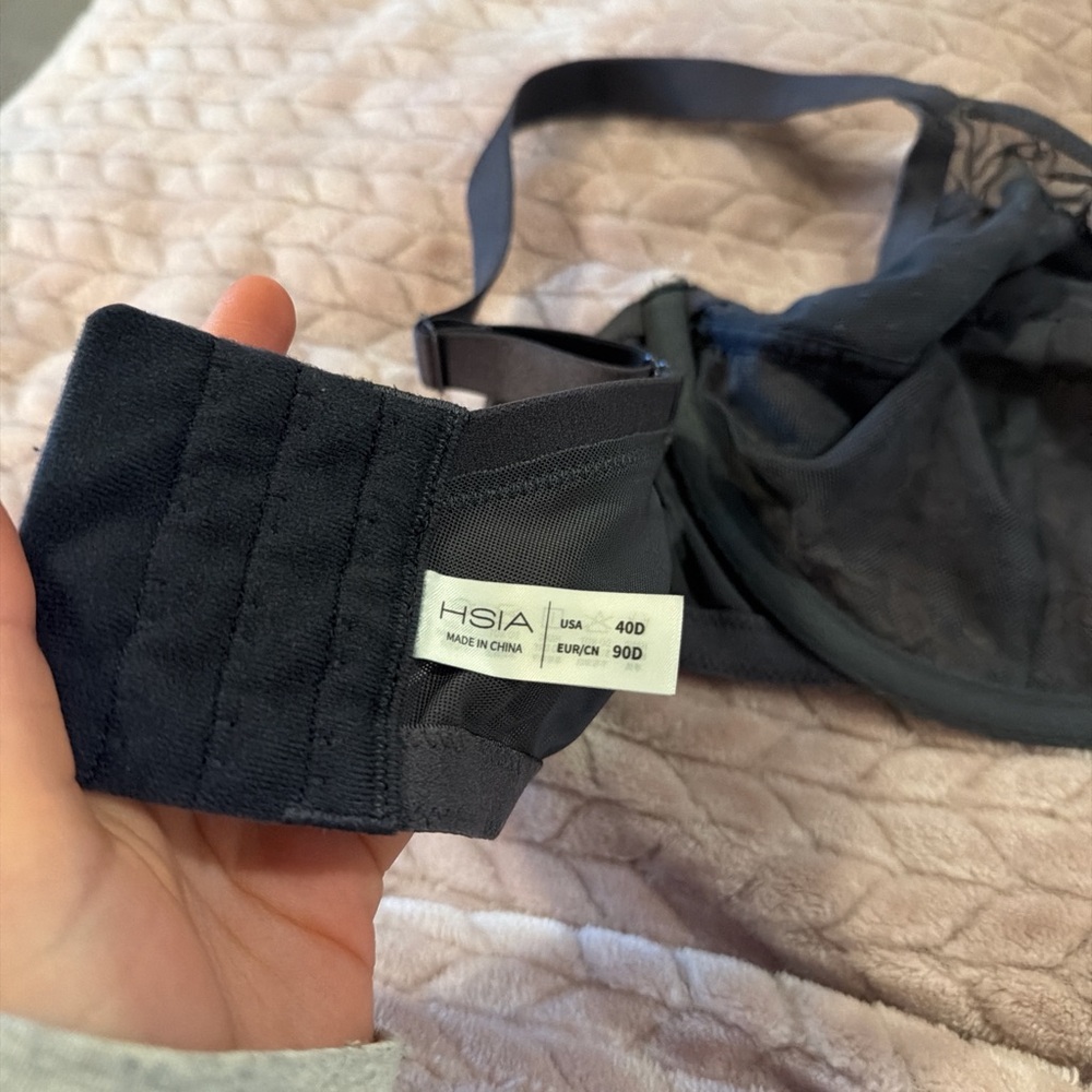 HSIA Black Mesh Bra - 40D